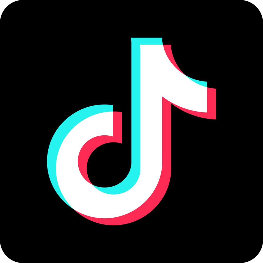 TikTok CEO Testimony Highlights Need To Protect Online Privacy