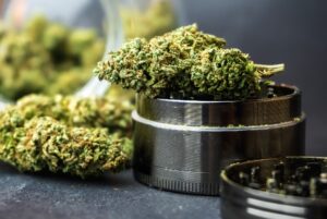 Is Recreational Marijuana legal in Florida